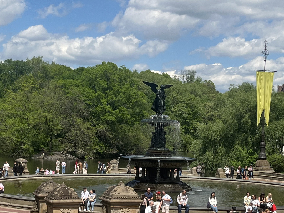 Journey Park Nyc|| Central Park Tours-纽约市必去景点