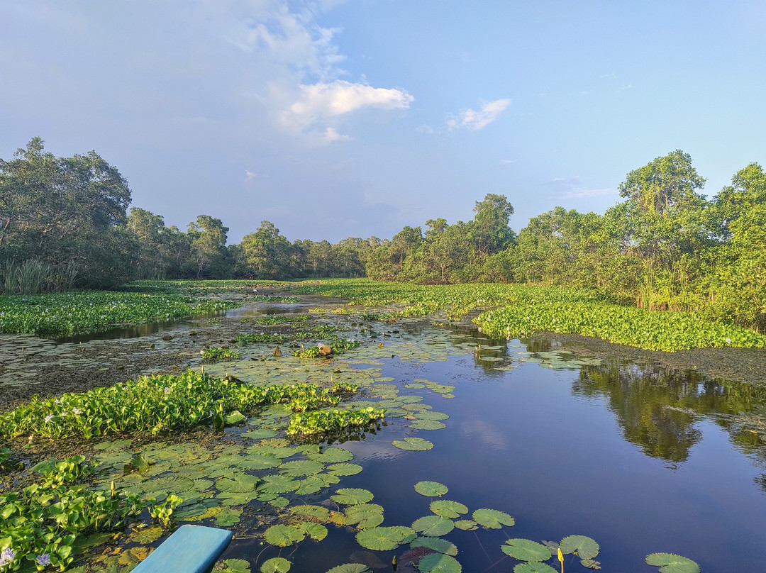 Kalametiya Lagoon Bird Sanctuary & Wetland Park景点图片