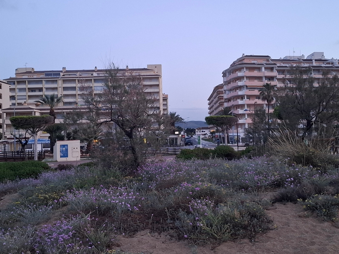 Aparthotel Acuasol主图