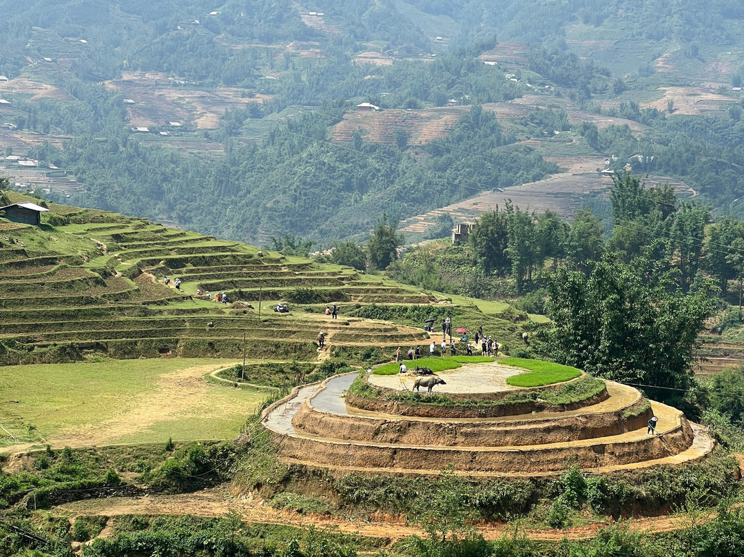 Sapa Buffalo Trekking-沙巴必去景点