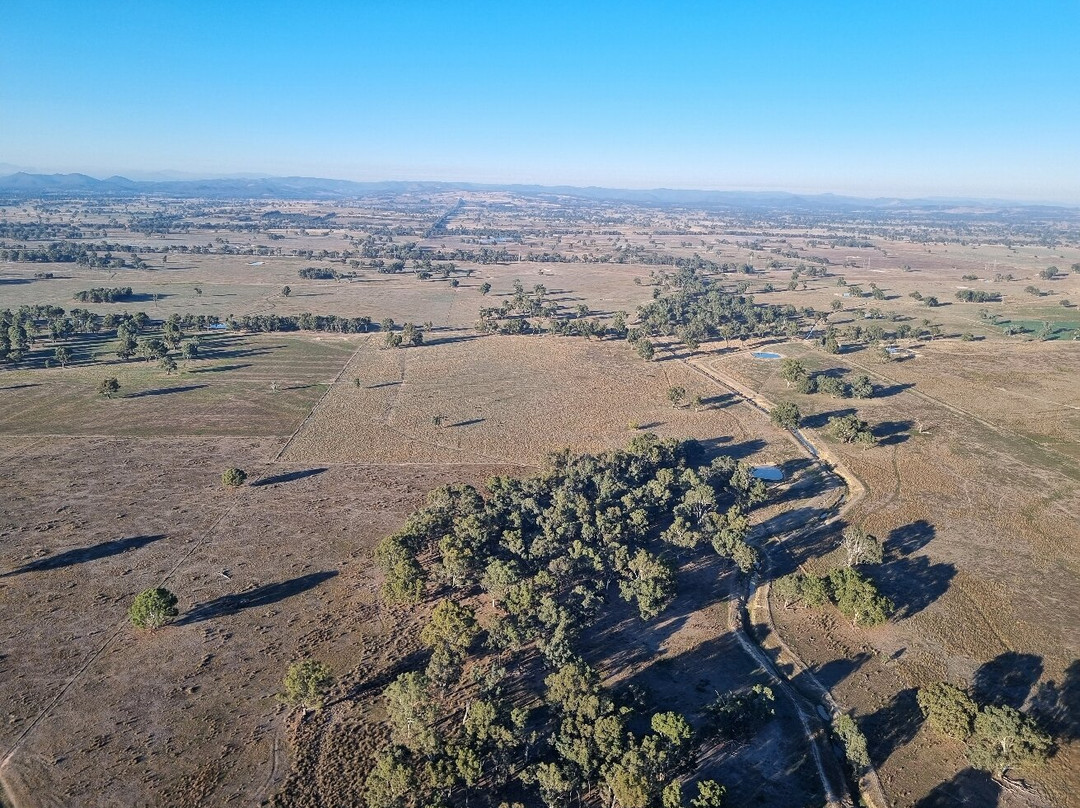 Goldrush Ballooning King Valley-King Valley必去景点