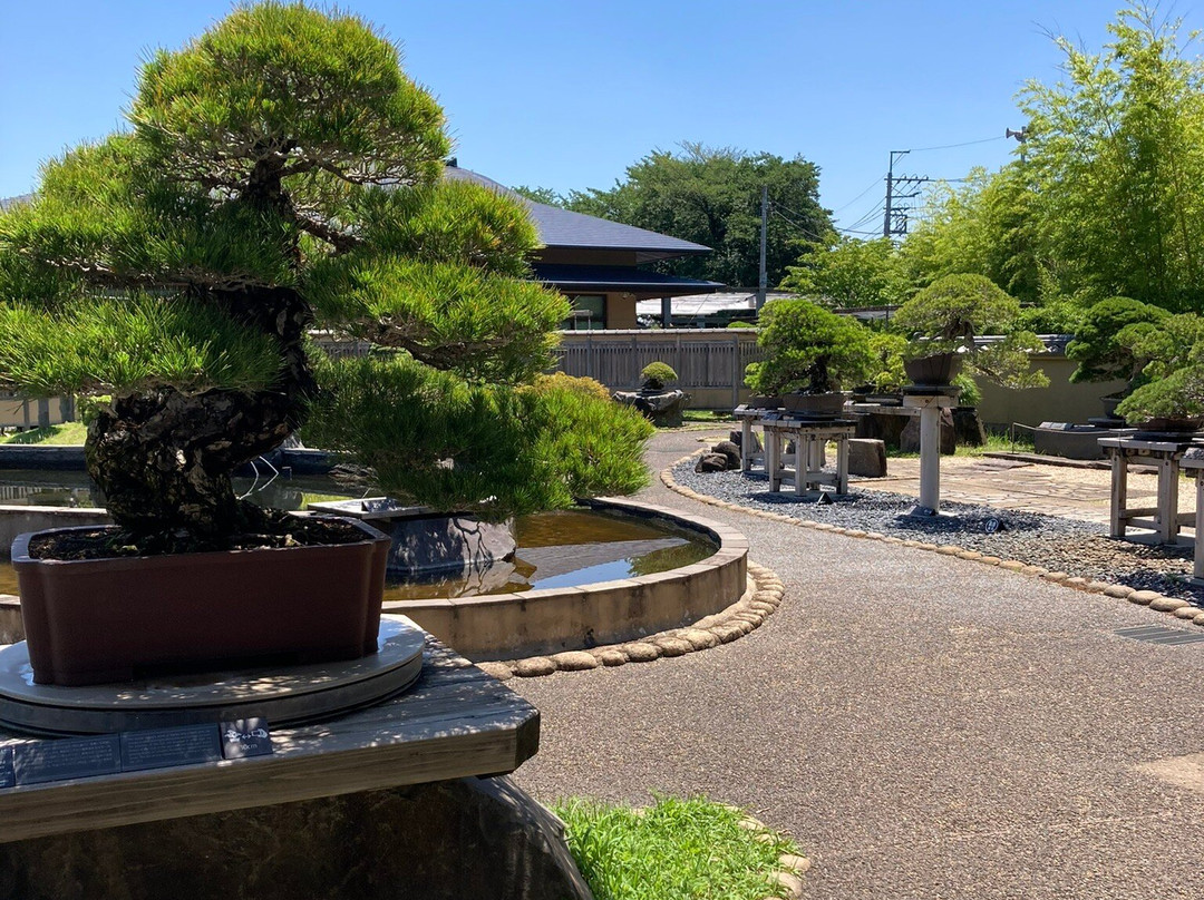 The Omiya Bonsai Art Museum Saitama-埼玉市必去景点