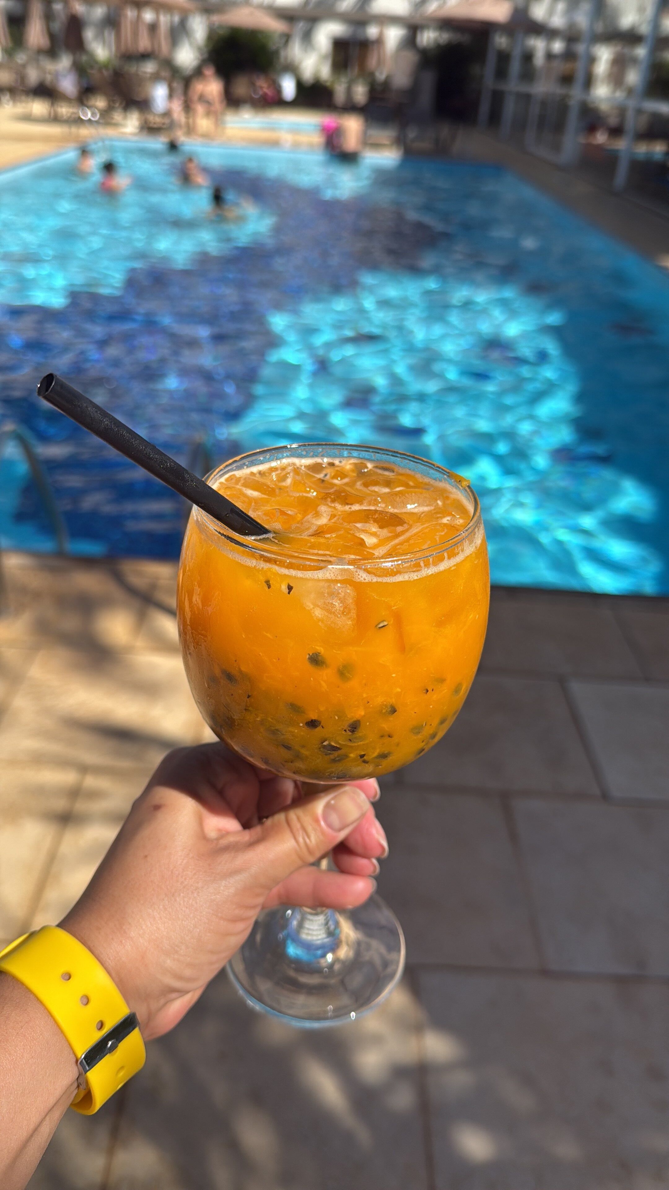 Hotel Premium Campinas-泳池