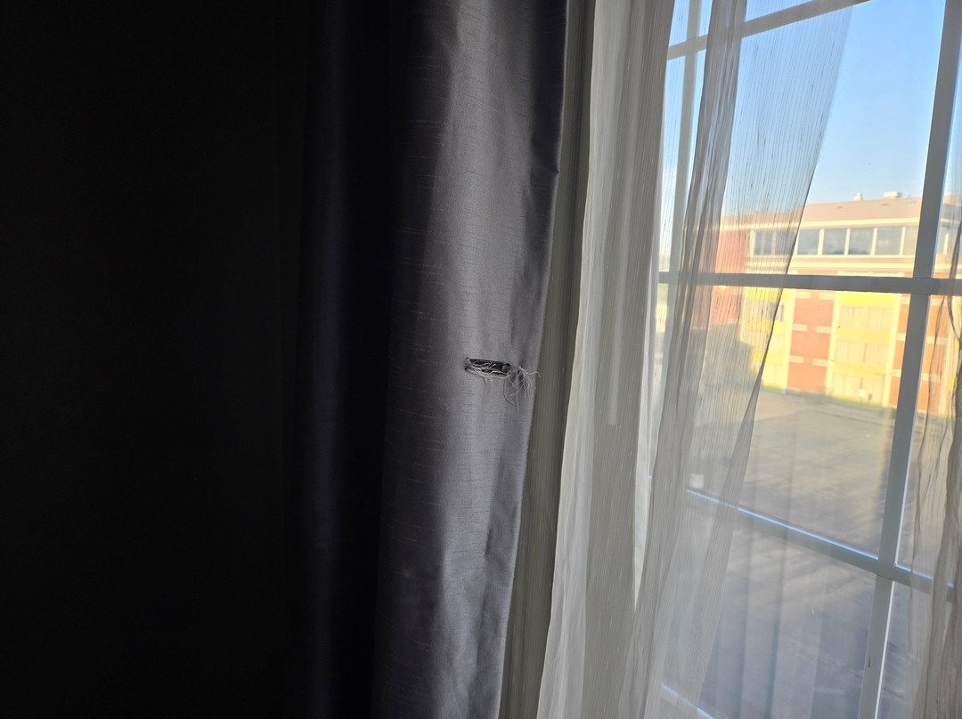 Best Western Executive Inn & Suites主图