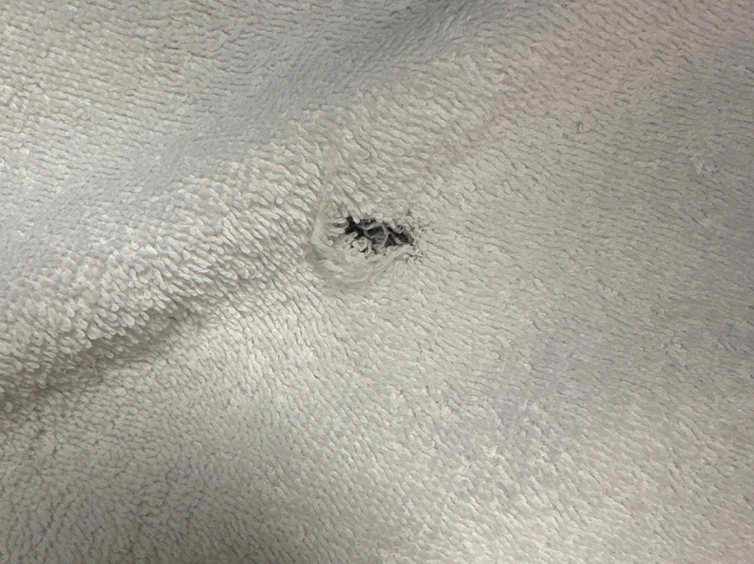 Courtyard by Marriott Albany主图