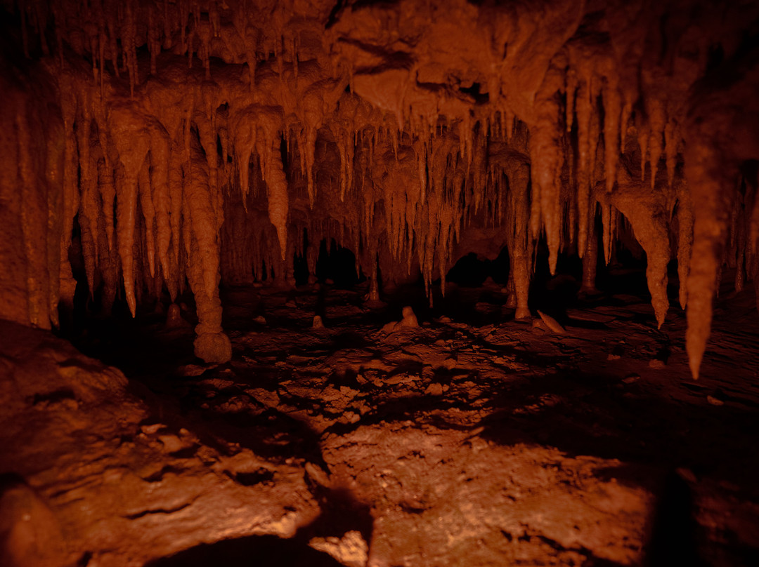 Florida Caverns State Park-Marianna必去景点