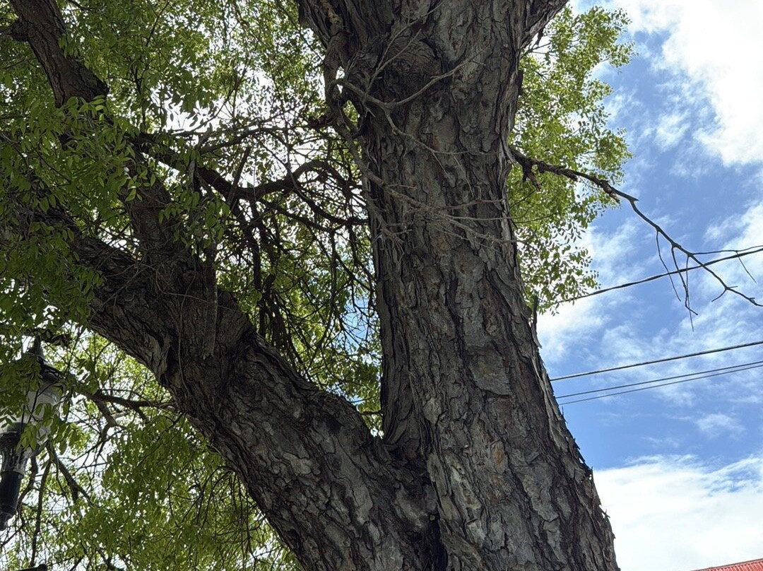 Fort Frederik-Frederiksted必去景点
