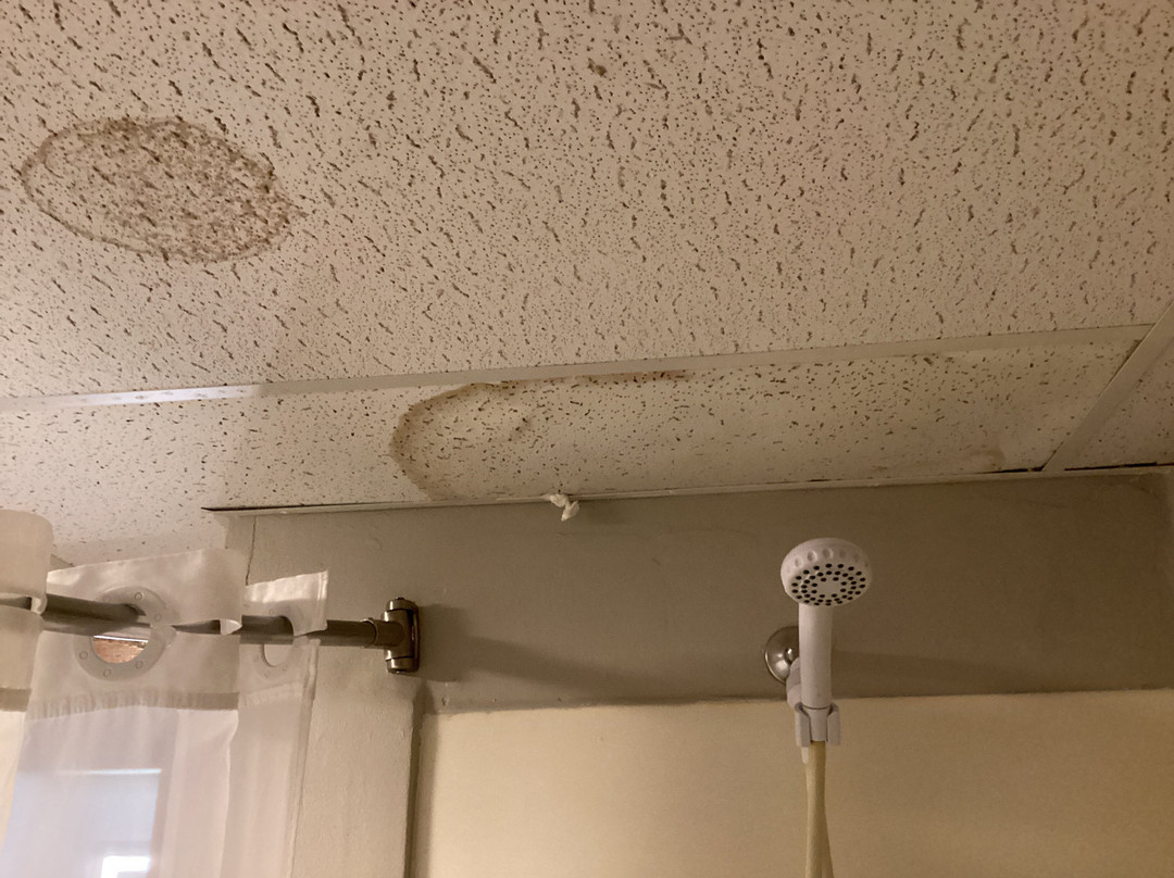 Days Inn by Wyndham Cameron主图