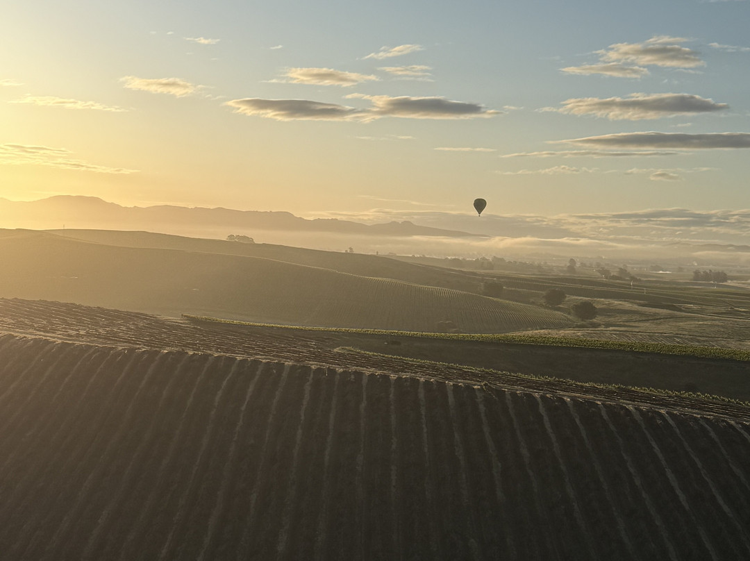 Sonoma Ballooning景点图片