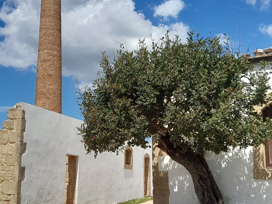 Riserva di Vendicari景点图片