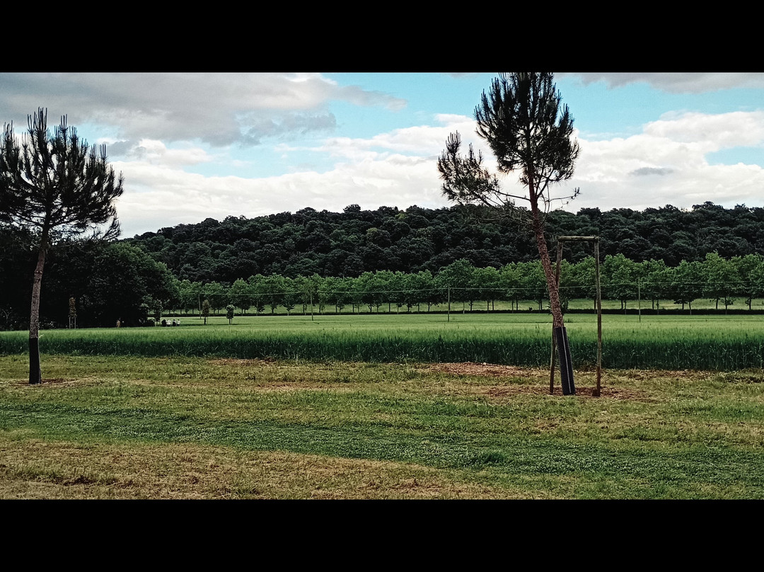 Riserva Naturale Abbadia di Fiastra景点图片