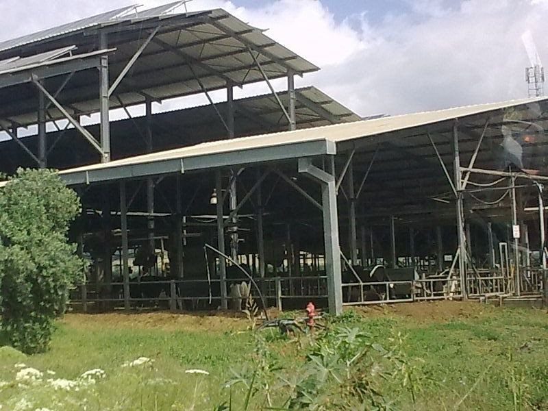 Ginosar Village主图