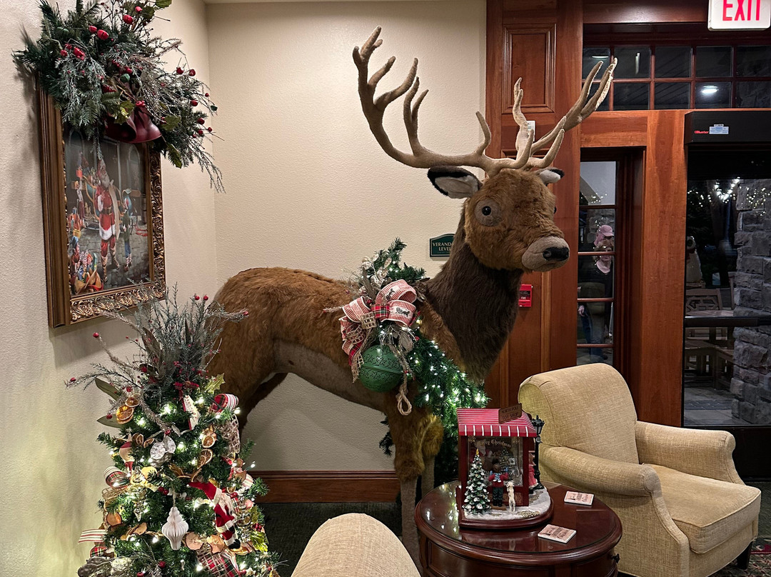 The Inn at Christmas Place主图