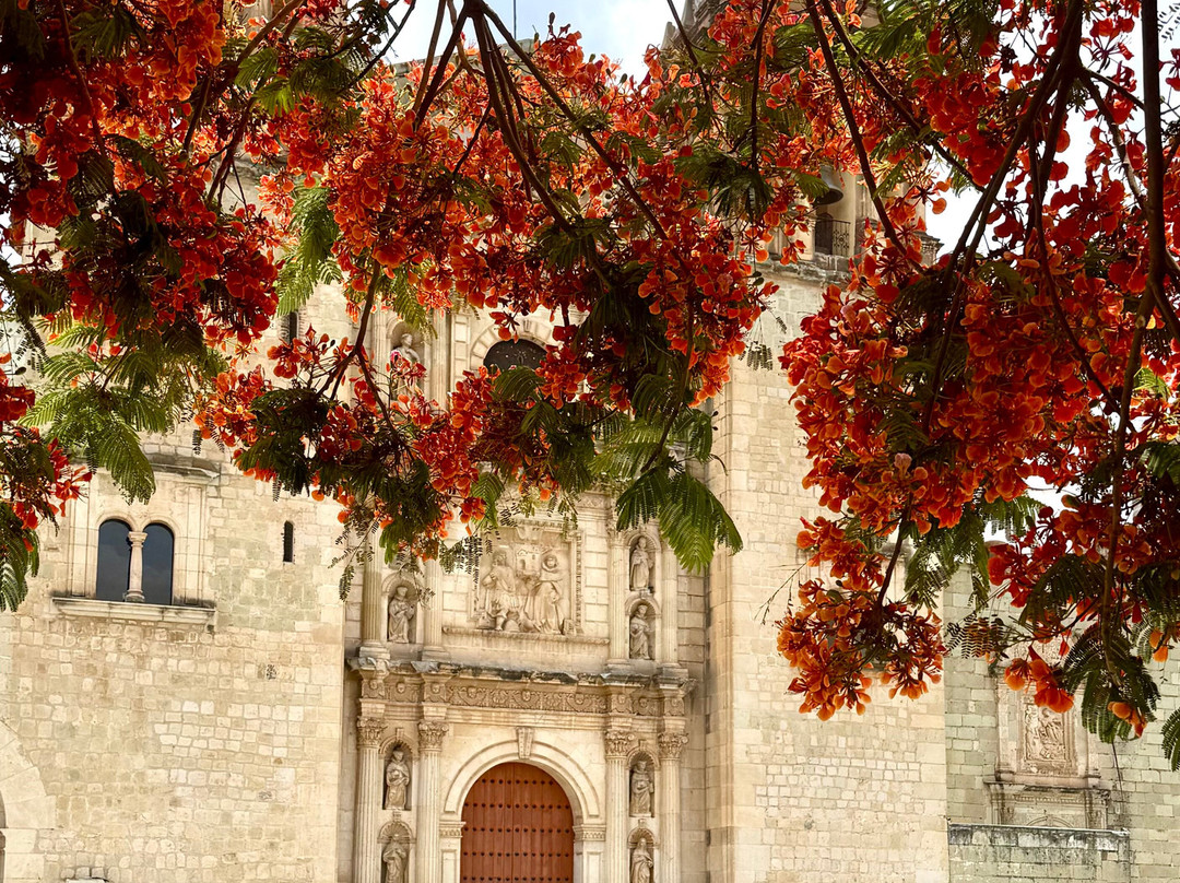 Discover Oaxaca Tours-瓦哈卡必去景点