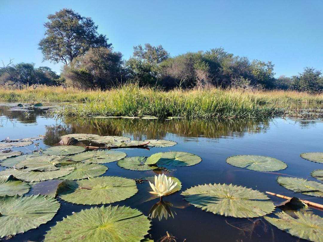 Saguni Safari Lodge主图