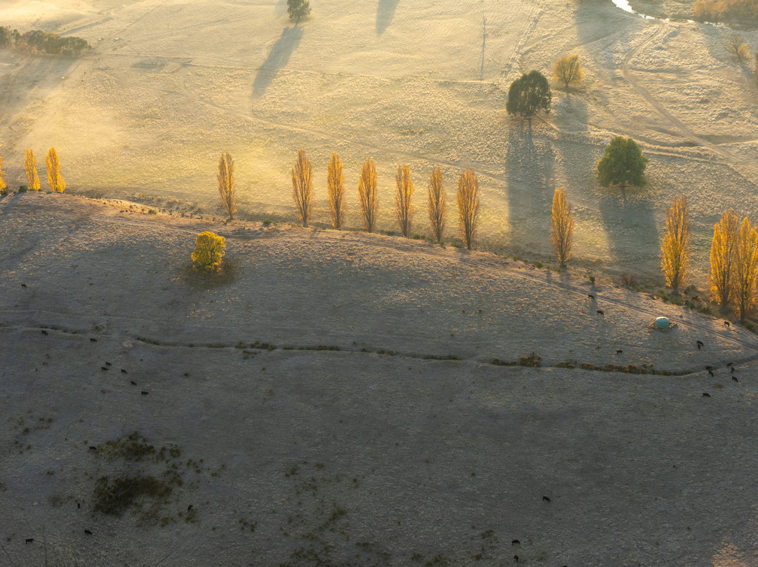 Goldrush Ballooning Mansfield-曼斯菲尔德必去景点