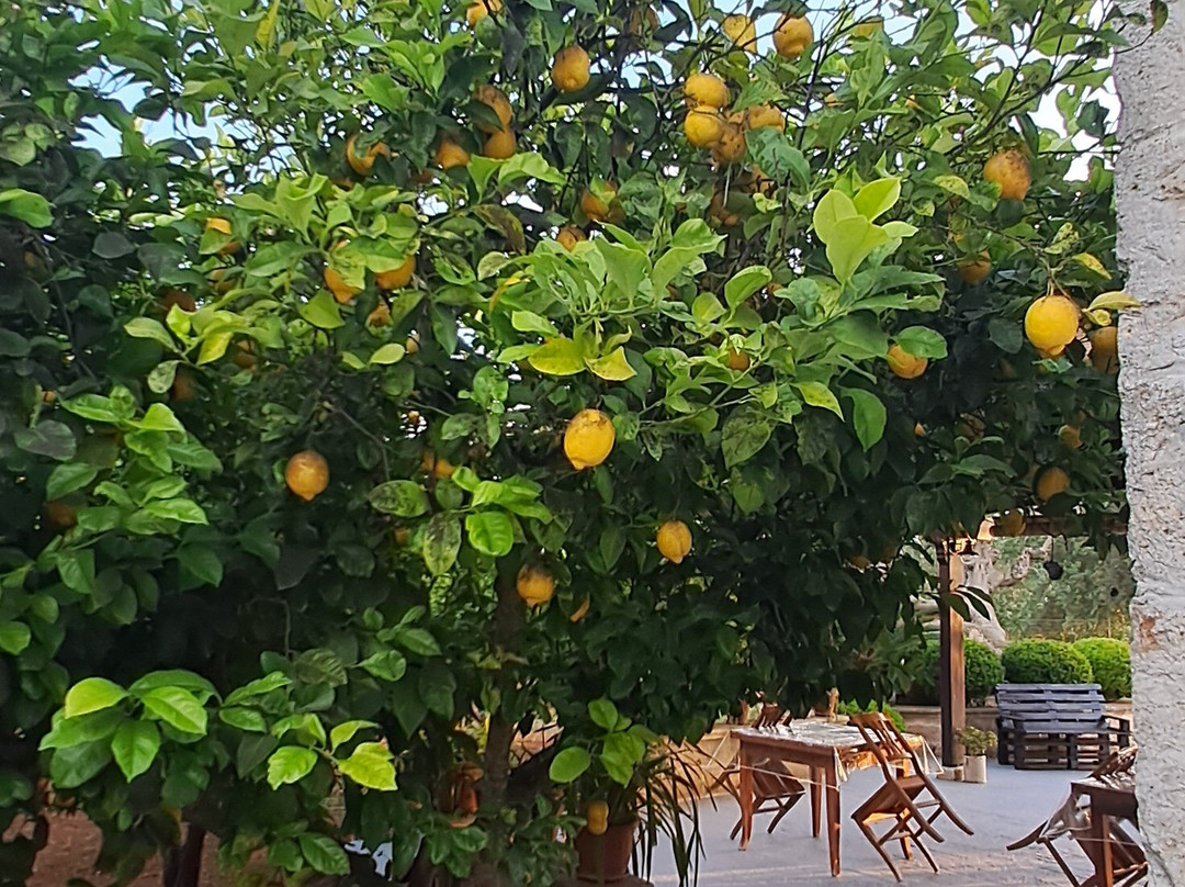 德米特民宿主图