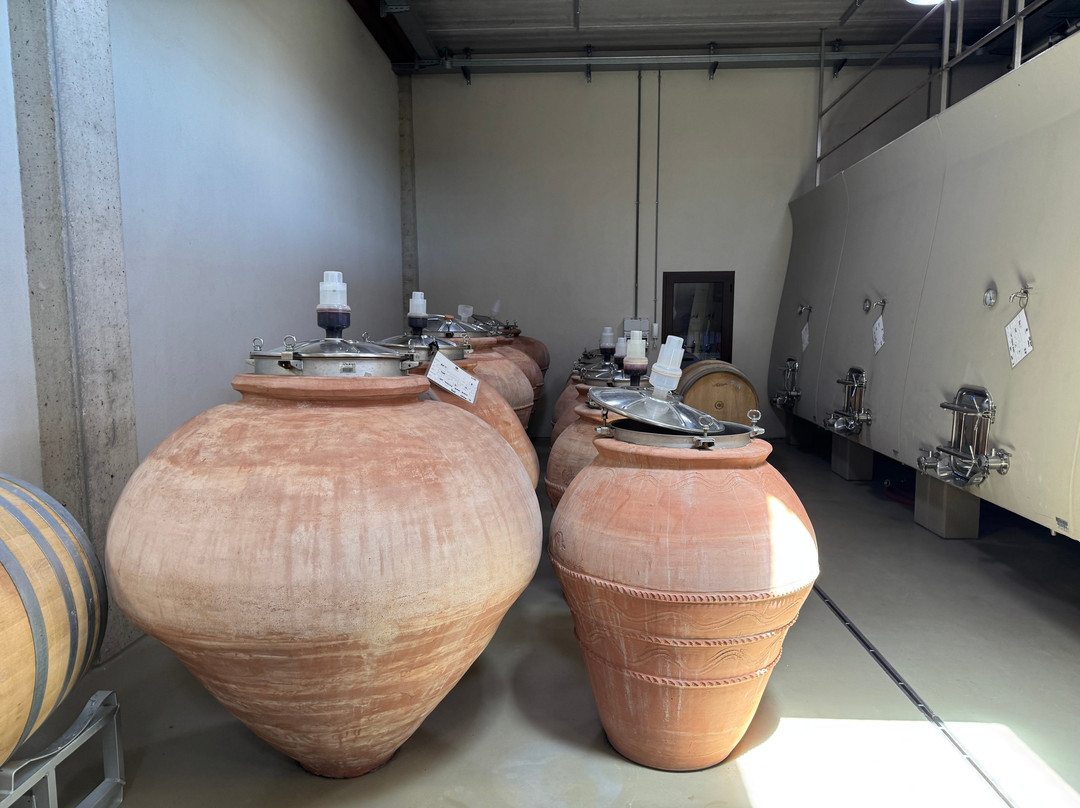TENUTA CASADEI景点图片