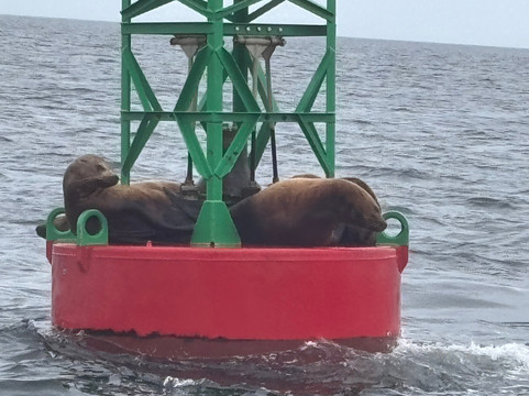 Alaska Tales-朱诺必去景点