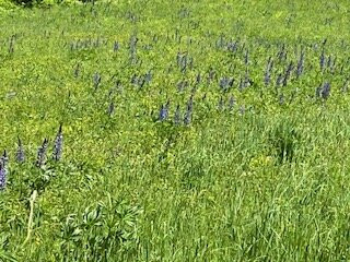 Cannon Mountain-弗朗科尼亚必去景点