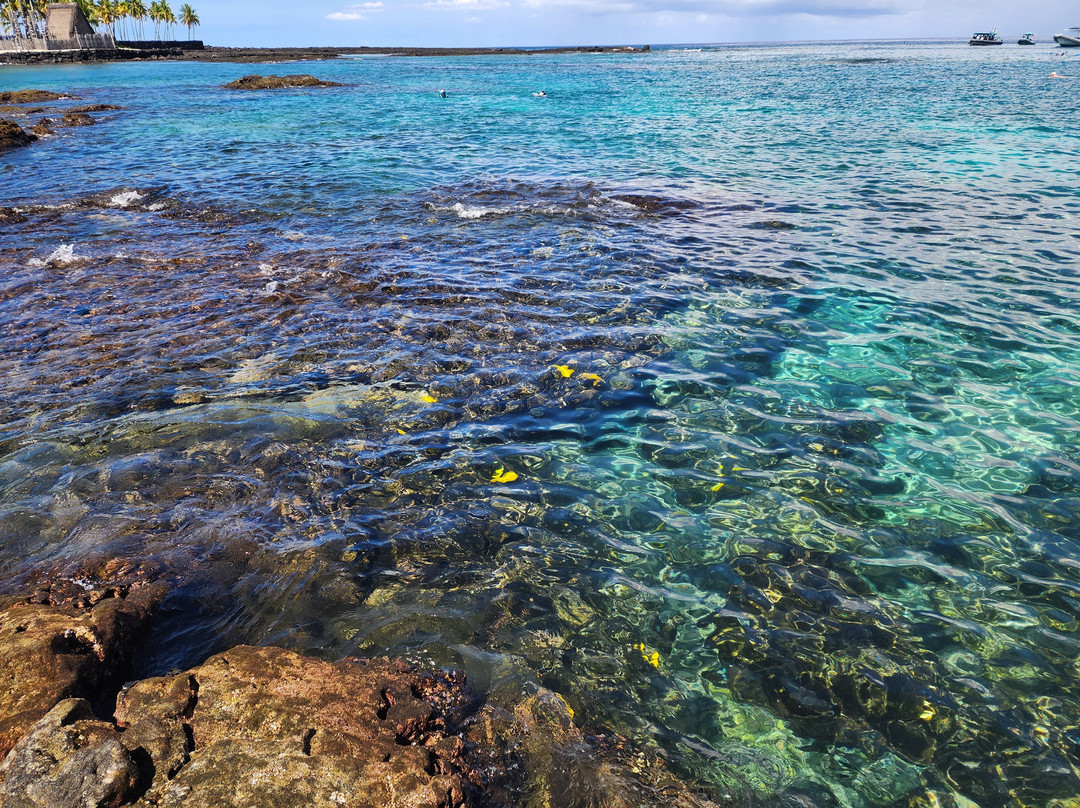 Two Step-库克船长必去景点
