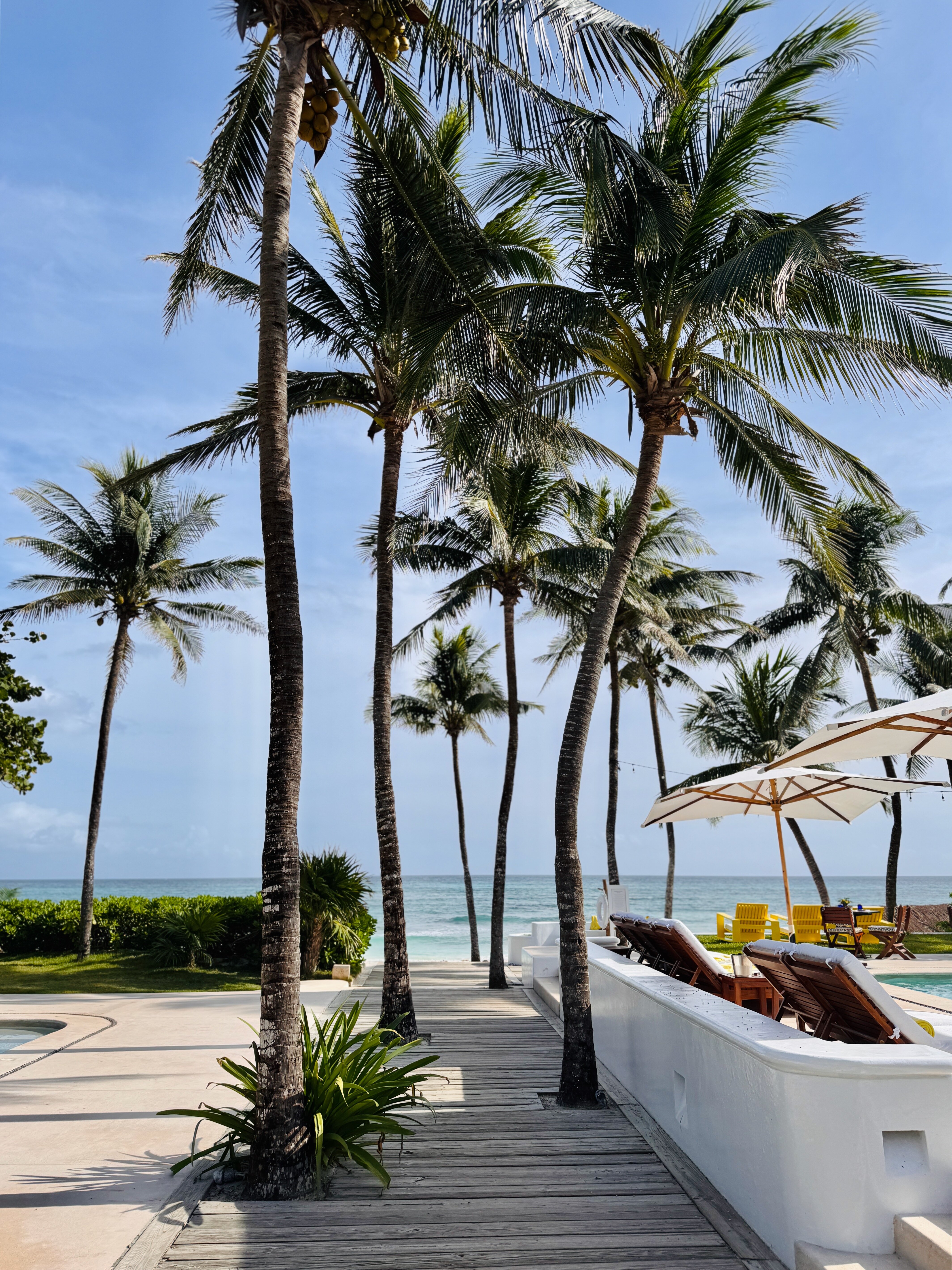 Hotel Esencia-泳池