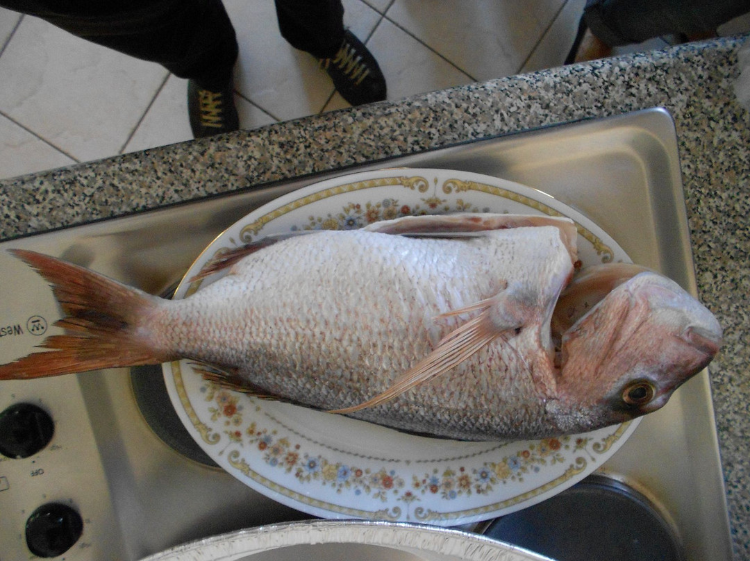 Cruising Kangaroo Island Kayak Tours-American River必去景点