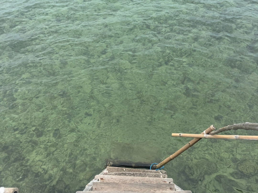 San Vicente Marine Sanctuary景点图片