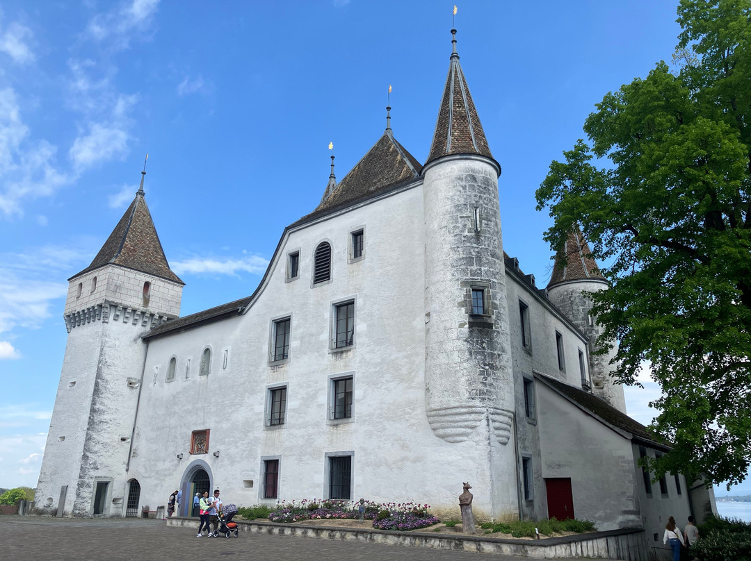Château de Nyon-尼永必去景点