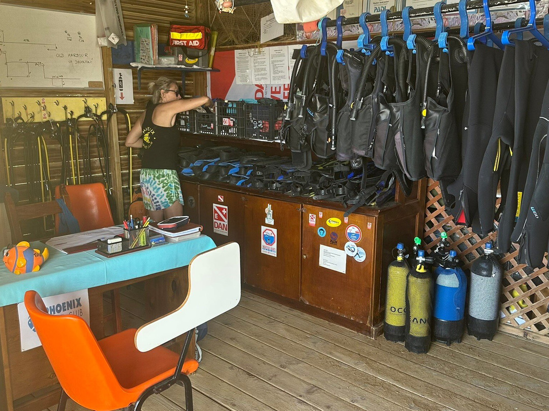 Phoenix Dive Club景点图片