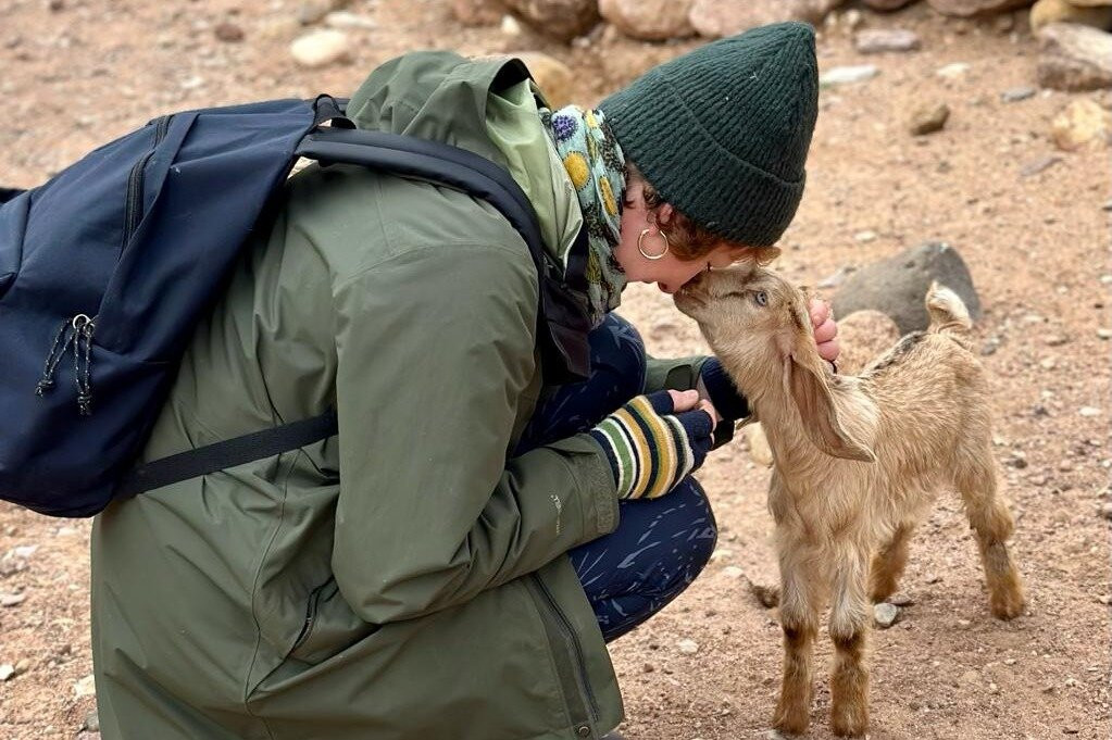 Jordan Bedouin Adventure Trails-Dana必去景点