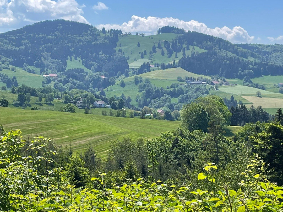 Luisenhöhe - Gesundheitsresort Schwarzwald主图