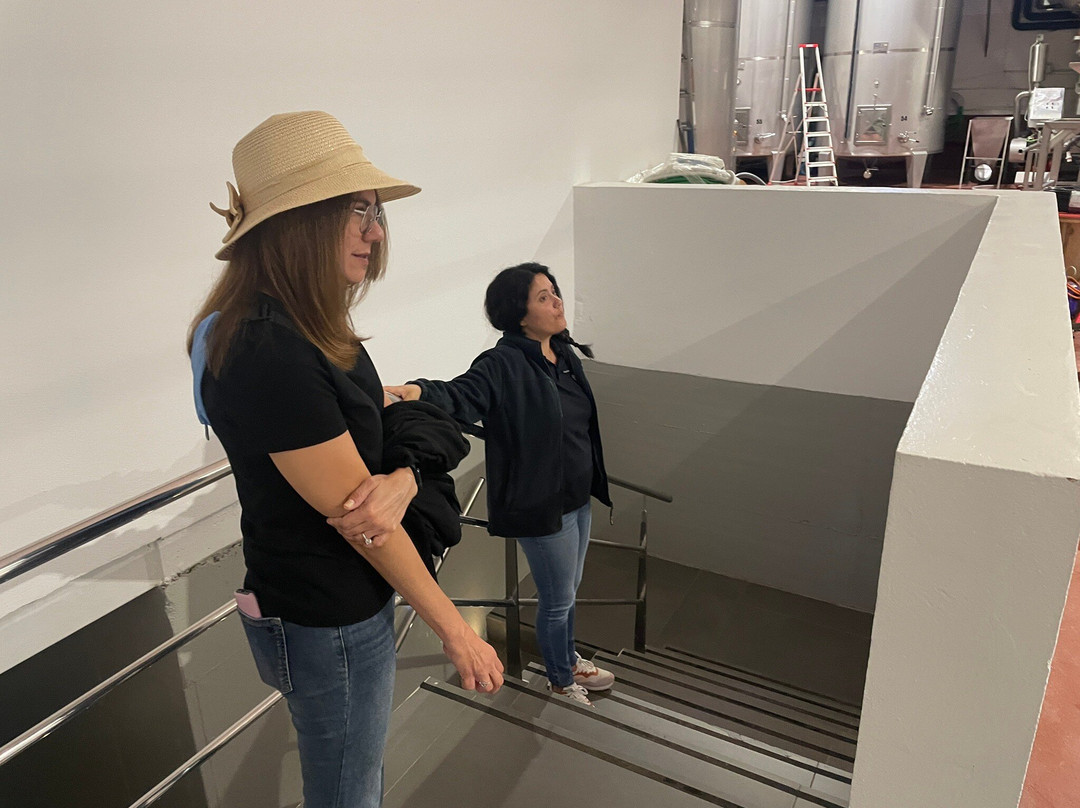 Pago de Los Capellanes-Pedrosa de Duero必去景点