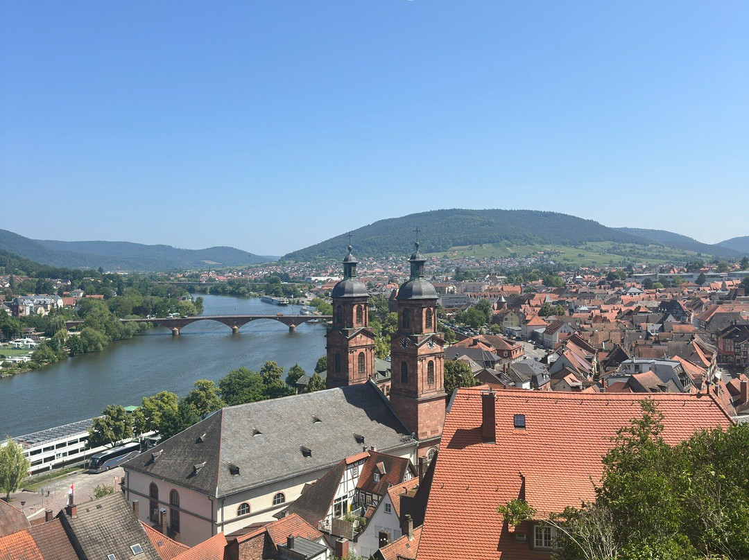 Miltenberg Castle Museum-米尔腾贝格必去景点
