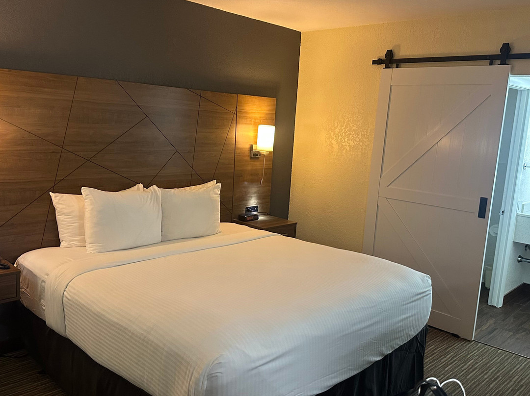 Quality Inn & SuitesQuality Inn & Suites Northampton- Amherst主图