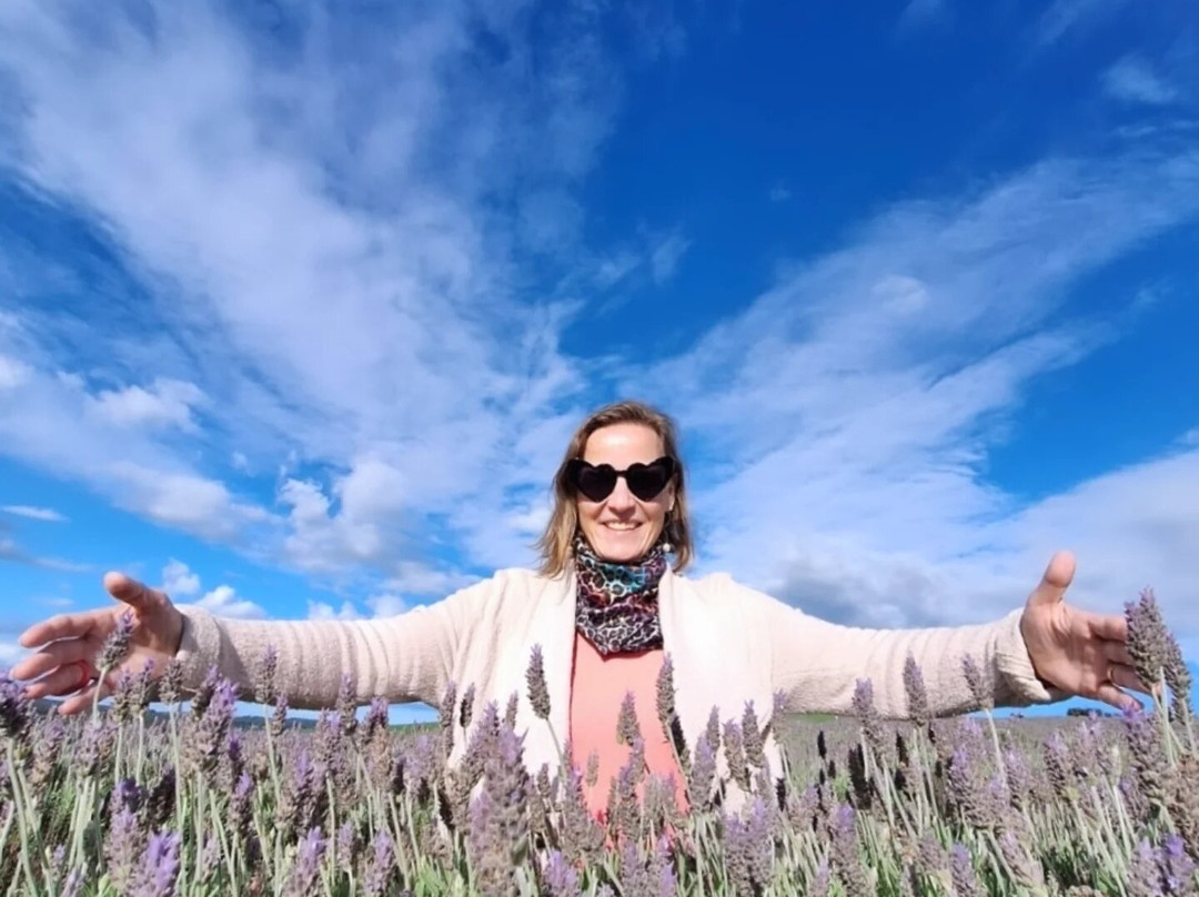 Het Dorp Vilarejo Holandês-Carambei必去景点