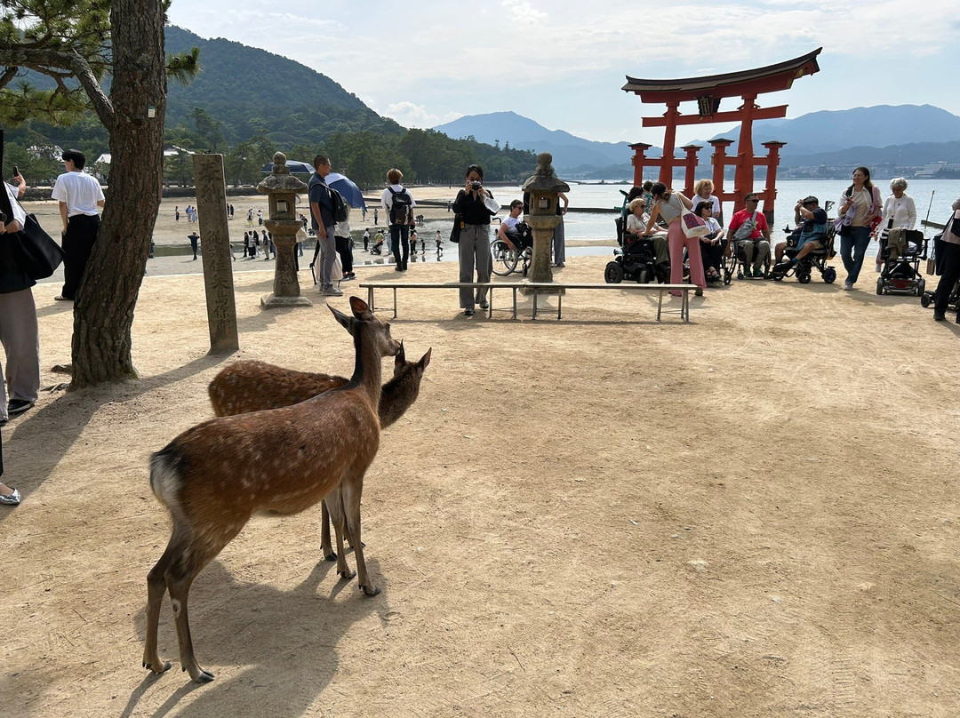 Itsukushima Shrine Torii-廿日市市必去景点