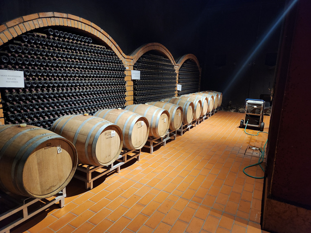 Cantine Giacomo Montresor-维罗纳必去景点