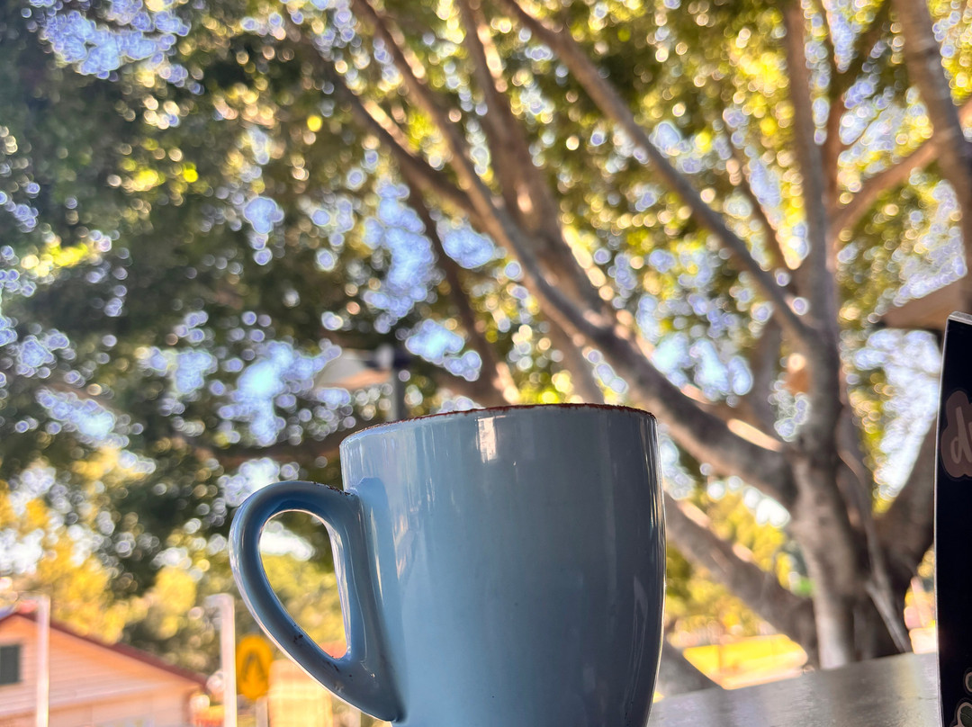 Queens Park-伊普斯威奇必去景点