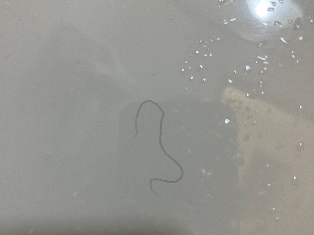 Days Inn by Wyndham Penticton Conference Centre主图