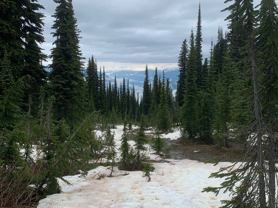 Meadows in the Sky Parkway-雷夫尔斯托克必去景点