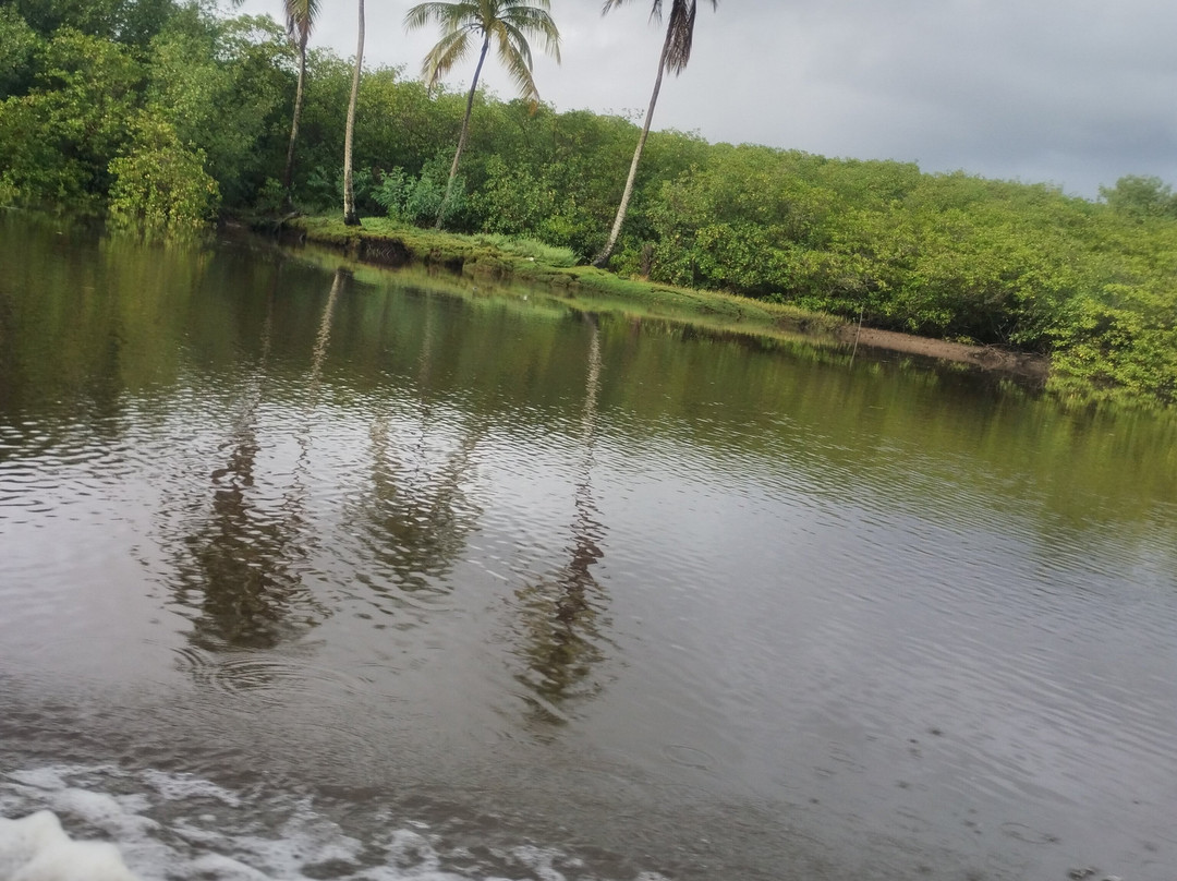 Hidrovia Canavieiras-Belmonte-Canavieiras必去景点