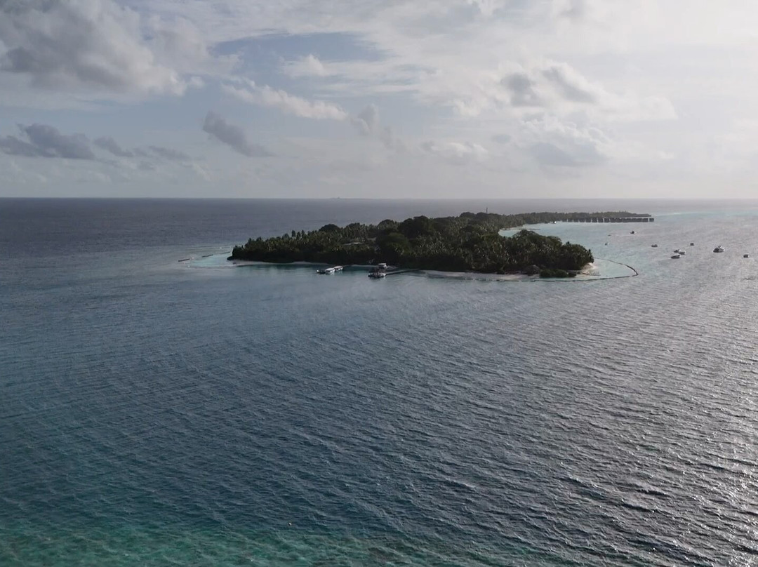 Jerrys Dive Club Rasdhoo-拉斯胡必去景点