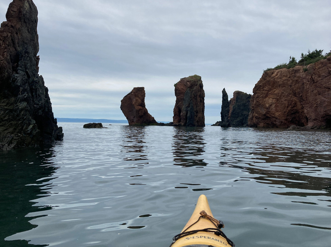 Novashores Adventures-Advocate Harbour必去景点