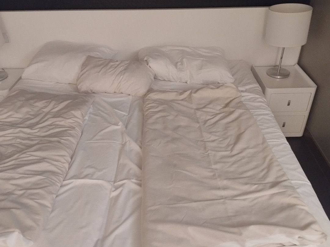 Harry's Home Hotel Linz- Urfahr主图