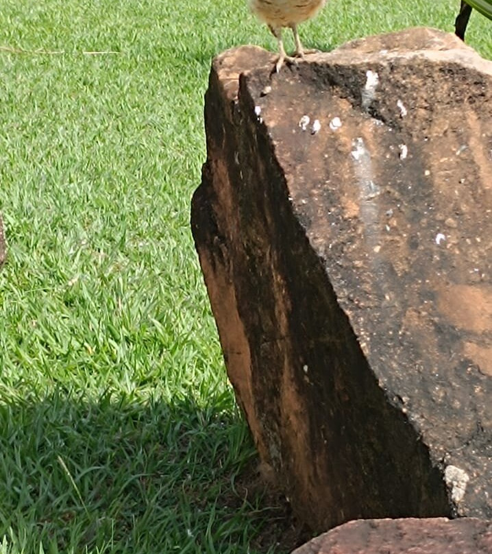 Araguaia Hotel主图