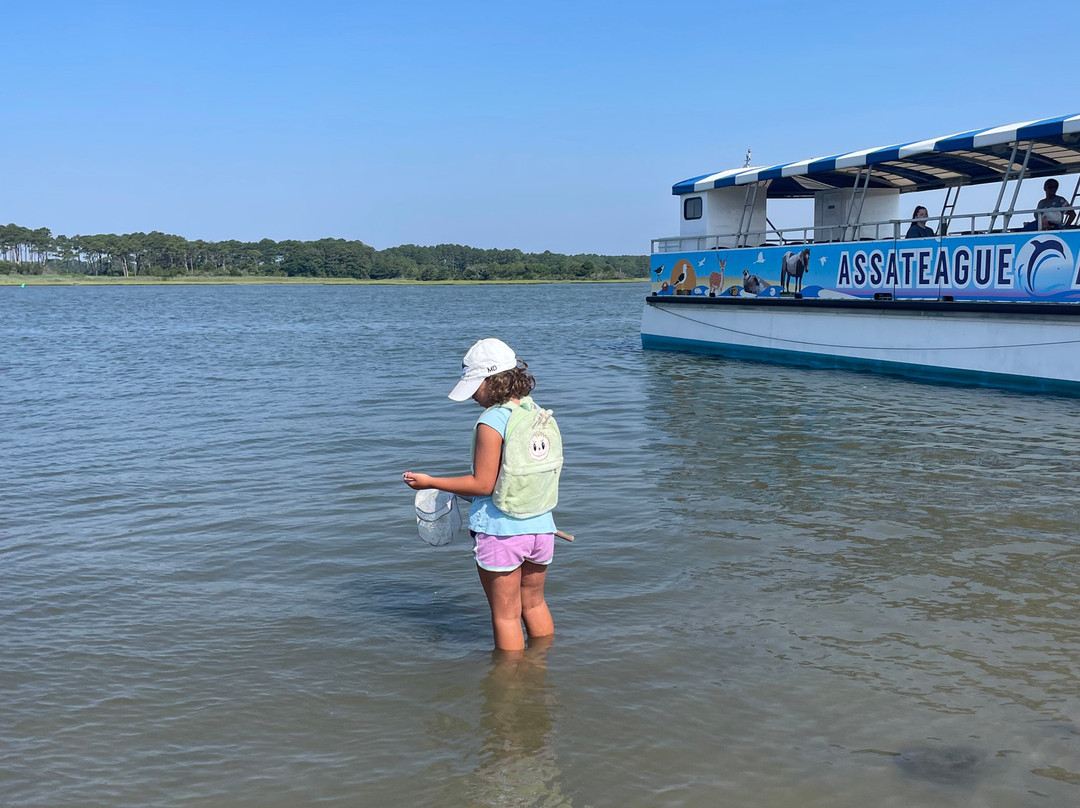 Assateague Adventure-大洋城必去景点