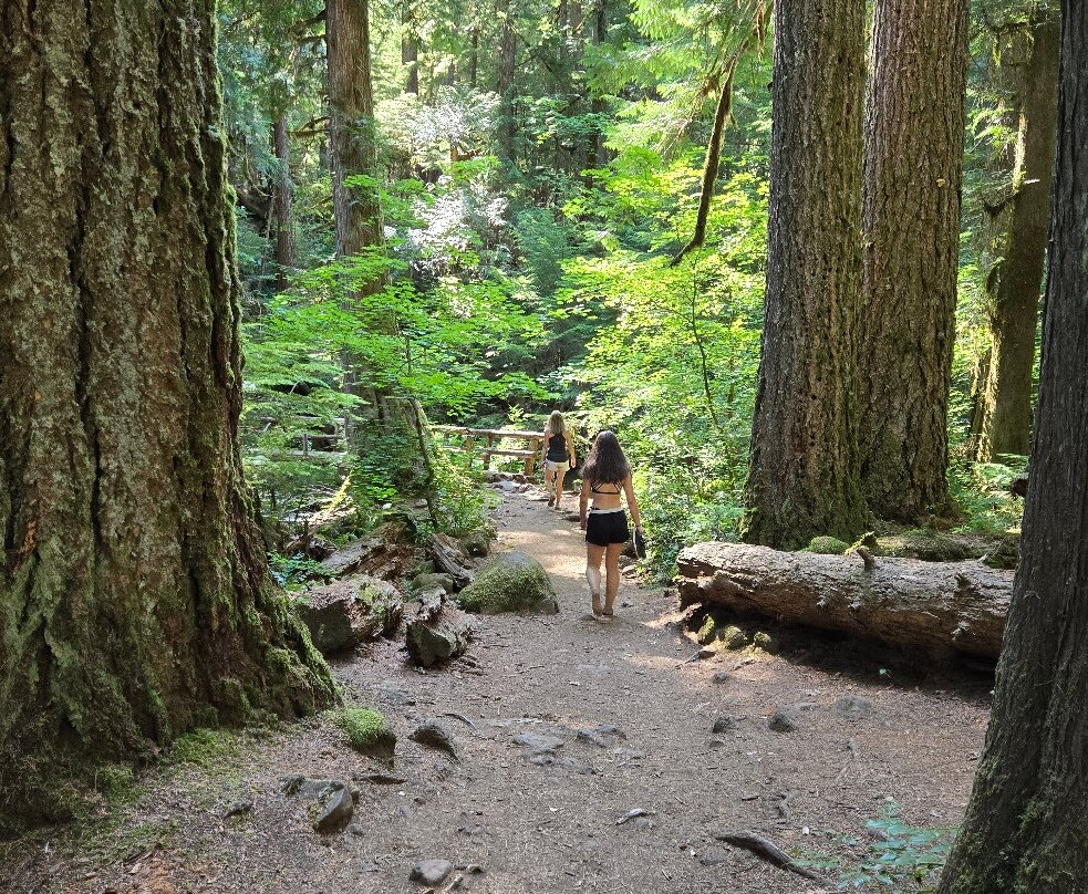 Tamolitch Pool Trail-Cascadia必去景点