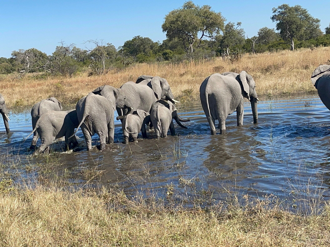 Great Plains Conservation Selinda Camp主图