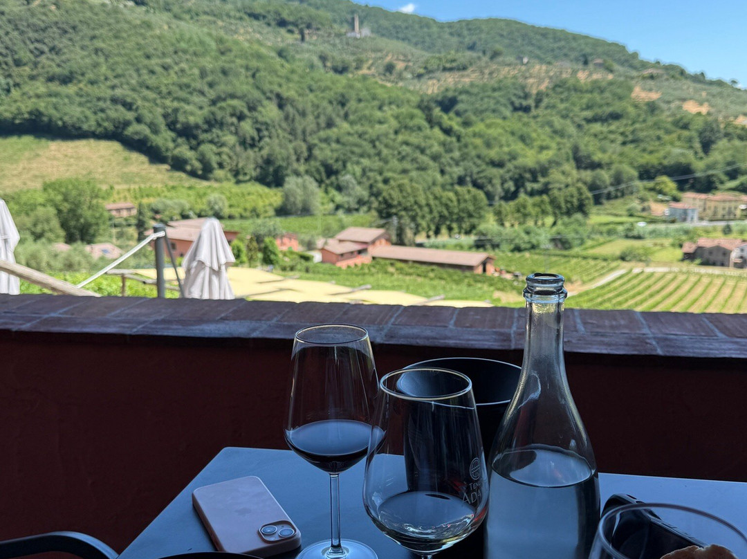 Tenuta Adamo Winery-卢卡必去景点